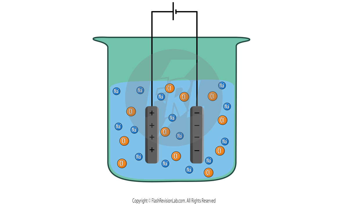 Ions in Electrolyte